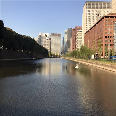 365体育官方唯一入口