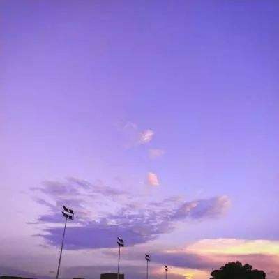 万博体育APP网址截图